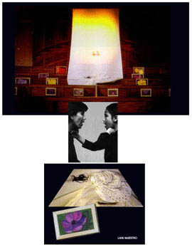 Feng Shui - Lani Maestro