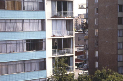 Image by Jamie Dolinko